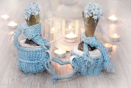 Blue hyacinths with matching decorations and tea lights on wood, toned imageの写真素材