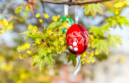 Grean Easter background with painted wooden eggs hanging from tree branches. This image is blurred, shallow DOF, focus on red egg.の写真素材
