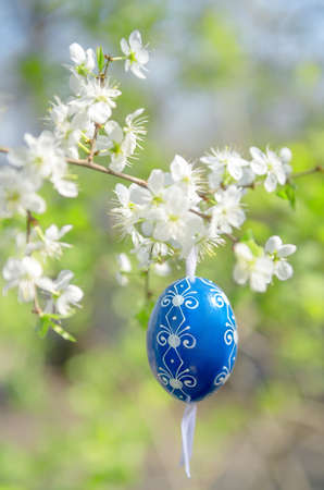 Traditional painted Easter Egg on a twig of tree in bloom outdoors on a bright sunny day. Happy Easter! Shallow DOF, focus on the front of the egg.の写真素材