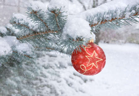 Merry Christmas! Red bauble with star design on a Christmas tree under falling snowの写真素材