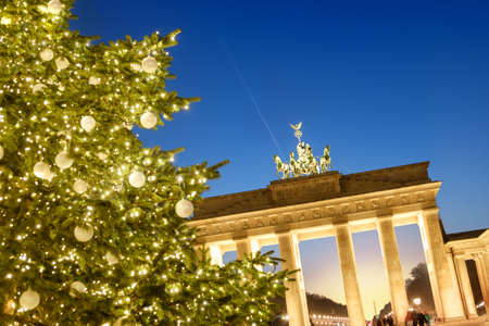 Berlin, Christmas tree in front of Brandenburg gate in the eveningの写真素材