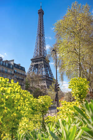 Paris, Eiffel tower on a bright spring dayの写真素材