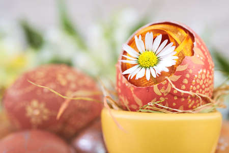 Daisy flower in cracked Easter egg  on abstract springtime background.  shallow DOF, focus on the flower petals and part of right eggの写真素材