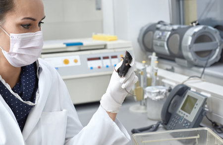 Female scientists holds laboratory mouse, focus on the mouse