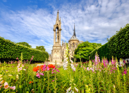 Notre Dame de Paris Cathedral, garden with spring flowers in Paris, Franceの写真素材