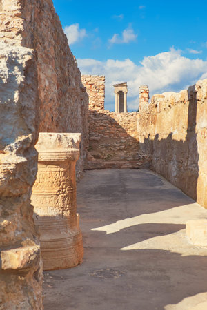 The Sanctuary of Apollo Hyllates in Cyprus, Greece, panoramic image of temple ruinsの写真素材