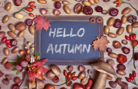 Blackboard with text "Hello Autumn"with Fall decorations on wood. Top view, toned imageの写真素材