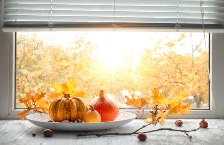 Pumpkins and yellow oak leaves by the window on a rainy day. Toned image, space for your textの写真素材
