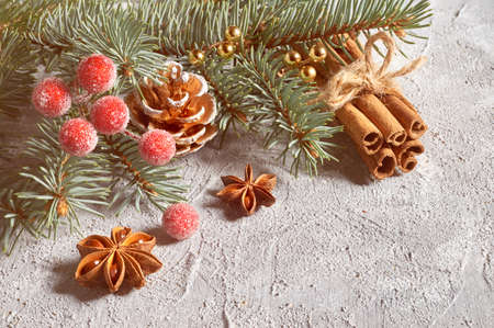 Christmas still life with decorated fir twigs, anise stars, cinnamon sticks on light background, text spaceの写真素材