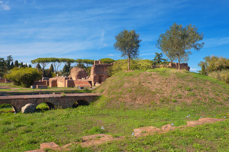 Ancient ruins on Palatine Hill, Rome, panoramic image