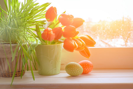 Spring background with green grass, Easter eggs and bunch of orange tulips on window board on a sunset after rain. Space for your text.の写真素材