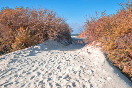 Island of Hiddensee, off the Baltic coast of Northern Germany. Sandy entrance to the beach via...