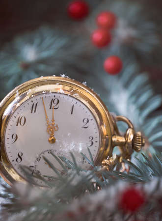 Close-up on antique pocket watch showing five to twelve among fir twigs, red berries and snowの写真素材