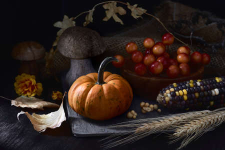 Autumn still life in low key with small orange pumpkin, decorative wooden mushrooms and dry leavesの写真素材