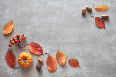 Autumn background in gray and orange: wecorative pumpkin, acorns, berries and red leaves arranged on...