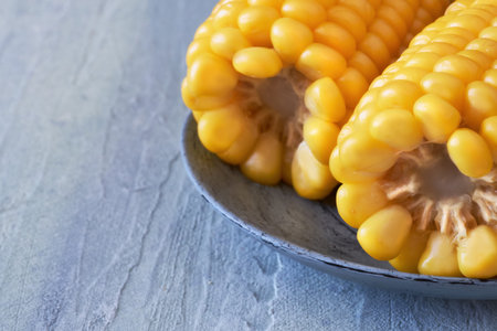 Closeup on two ends of boiled corn on the cob on rustic neutral background, text space