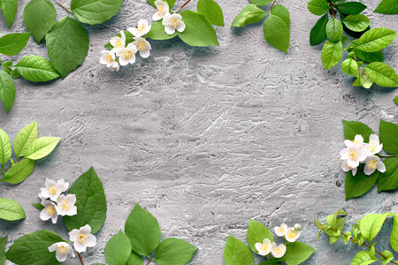 Summer floral  with fresh Philadelphus flowers, also known as mock-orange.