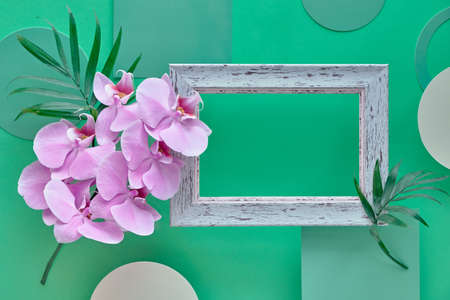 Green mint paper flat lay. Pink orchid blossoms with wooden frame, space for your textの写真素材