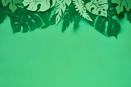 Floral flat lay with tropical leaves made out of paper, space for your textの写真素材