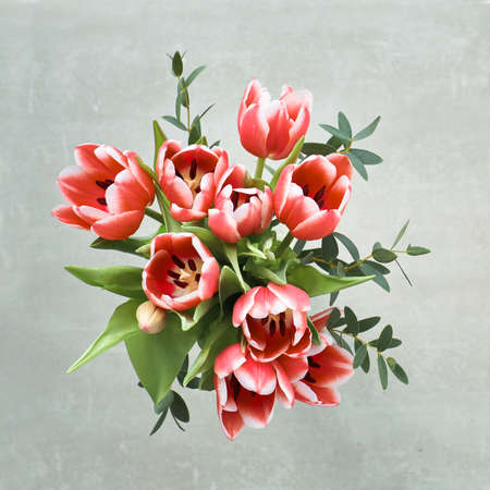 Bunch of red tulips and eucalyptus leaves on grey background.Ttop view, square compositionの写真素材