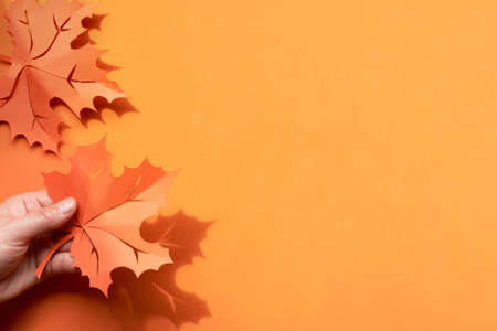 Hand holding range maple leaf on paper background with shadows and copyspace. Creative handmade paper craft, flat lay, Autumn paper background.の写真素材