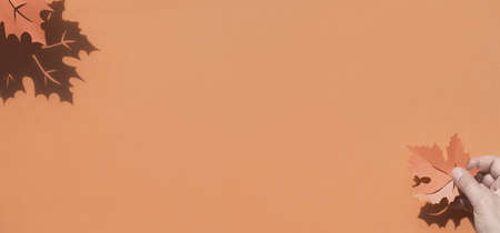 Hand holding range maple leaf on paper background with shadows and copyspace. Creative handmade paper craft, flat lay, Autumn paper background.の写真素材