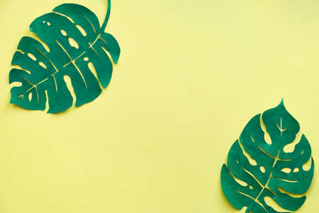 Top view on yellow paper background, flat lay with two exotic tropical monstera leaves made of paper, copy-spaceの写真素材