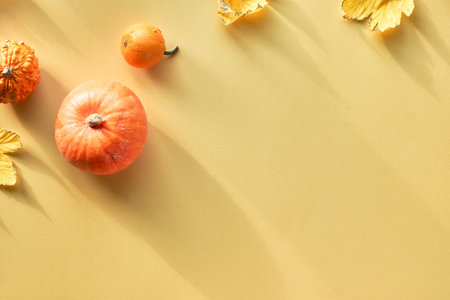 Yellow paper flat lay with orange pumpkins and maple leaves. Flat lay with long shadows and...