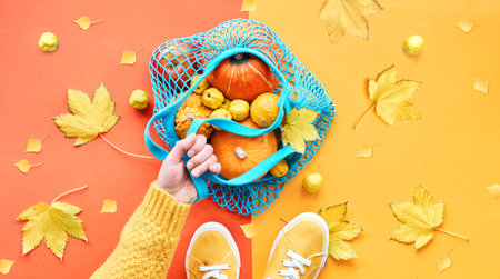 Autumn flat lay on split red and orange paper background. Orange pumpkins in blue mesh bag or string...