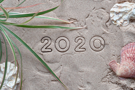 Happy New Year 2020! Number written on wet sand with shells and palm leaves.