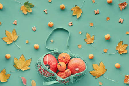 Autumn flat lay on light green background with colorful leaves and cookie letters. Orange pumpkins, apples and quince in green mint mesh bag or string bag. Hello Fall!の写真素材