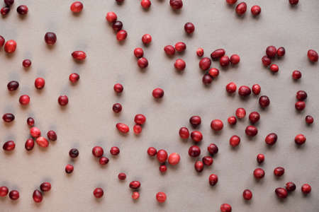 Raw fresh cranberry berry, view from above. Cranberry background, top view, flat lay on craft paper. Cranberries scattered on recycled brown paper.の写真素材