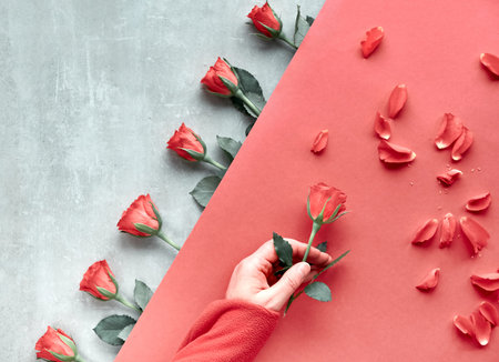 Diagonal geometric paper background, copy-space. Flat lay, female hand hold red rose, scattered...