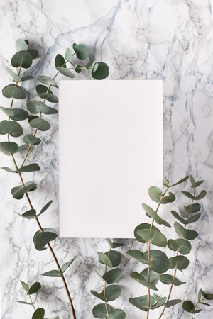 Beautiful abstract floral background. Flat lay, top view eucalyptus on marble background, flat lay...