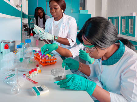 African medical students, scientists, young women working in research laboratory, medical test lab. Basic research in biology, chemistry. Quality control of various substances. Laboratory environment.の写真素材
