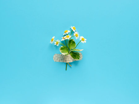 Chamomile flower and grass bouquet attached with medical aid patch to blue mint background. Creative...