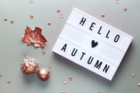 Lightbox with text Hello Autumn and heart sign. Silver grey paper background. Flat lay with dry...