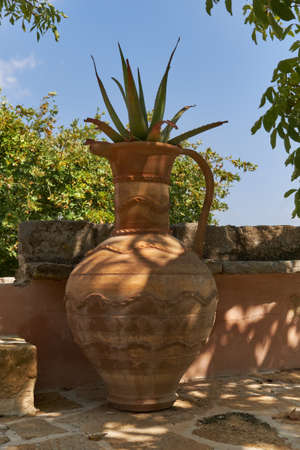 Ancient Greek clay Vase surrounded by greenery and cactus on th topの写真素材