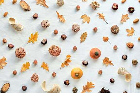 Orange, brown white Fall background. Top view on white textile. Abstract geometric diagonal pattern with pumpkins, acorns, nuts, Autumn leaves and wattle balls.の写真素材