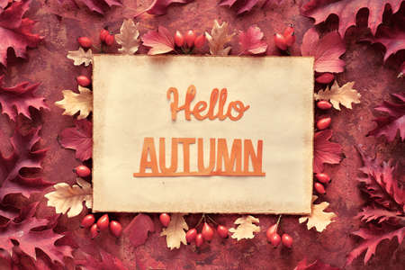 Dark red and brown Fall frame with decorative border from oak Autumn leaves. Handmade cut out text Hello Autumn on aged vintage parchment paper.の写真素材