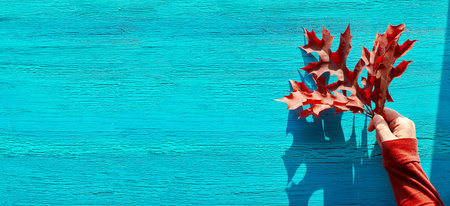 Fall background with copy-space. Panoramic flat lay with red oak leaves in female hand on cracked...