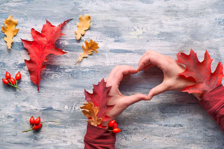 Hands of hipster with Autumn leaves in sleeves show heart sign. Natural Fall decorations, red and yellow oak leaves. Flat lay on light grey textured wood.の写真素材