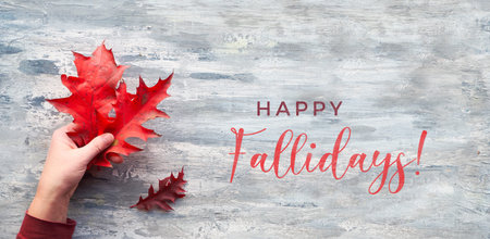 Flat lay with hand holding twig with vibrant red oak leaves. Text Happy Fallidays on textured grey wooden board.の写真素材