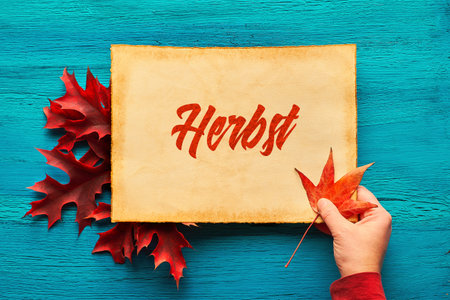 Fall seasonal flat lay with red oak leaves on cracked textured turquoise wood. Female hand holds red maple leave. Text Herbst on aged parchment means Autumn in German..の写真素材