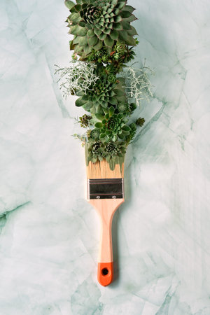Painting brush with paint imitated with Sempervivum succulent plants. Concept of painting green. Creative flat lay. Direct sunlight, long shadow design.の写真素材