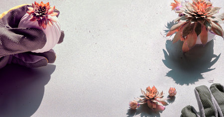 Sempervivum succulent plant in gloved hand, strong light with shadows. Panoramic composition, text...