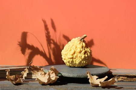 Modern Autumn brick podium with natural decor with shadows in orange and grey.