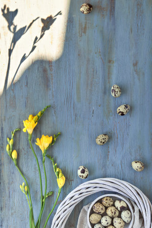 Easter flat lay with quail eggs, heart shape with text Easter. Yellow freesia flowers and rattan...