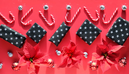Christmas greeting arrangement on red background with shadows. Flat lay with fir twigs, poinsettia...