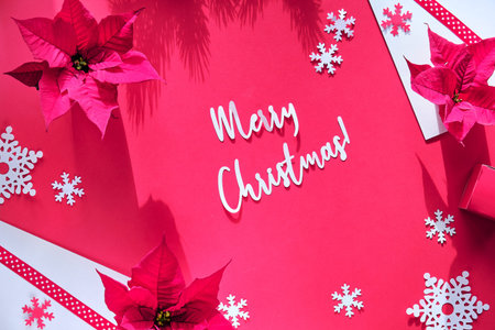 Poinsettia, snowflakes, red white paper snowflakes. Text Merry Christmas. Flat lay, pink monochrome...